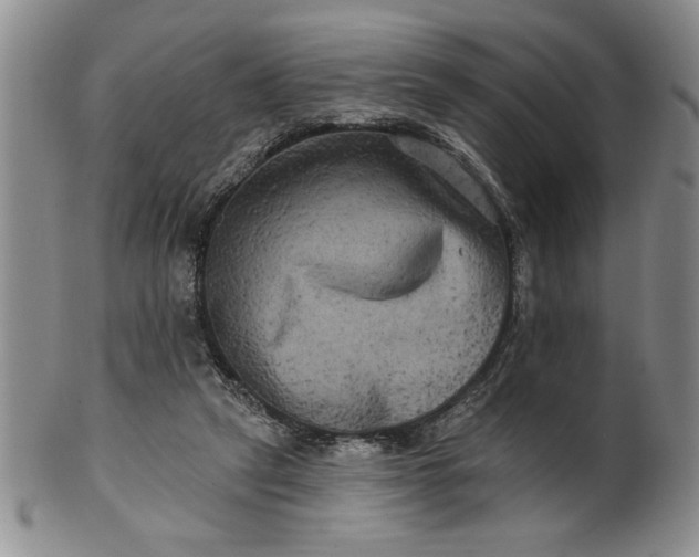 X0000100970257200807081226