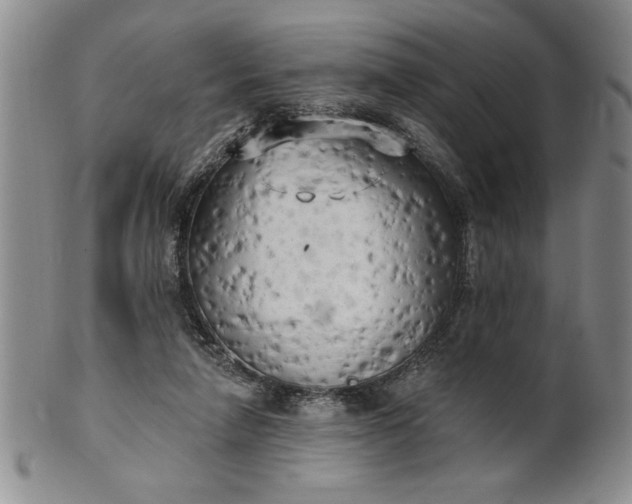 X0000100970258200807081226