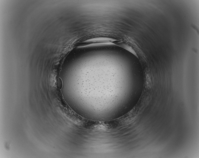 X0000100970259200807081226