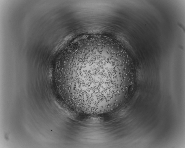 X0000100970260200807081226