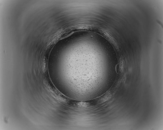 X0000100970261200807081226