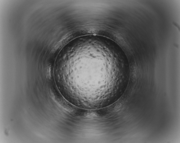 X0000100970262200807081226