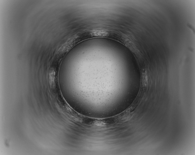 X0000100970263200807081226