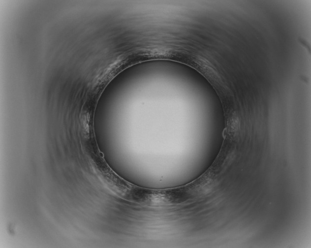X0000100970264200807081226