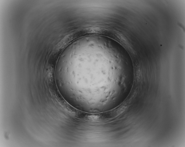 X0000100970265200807081226