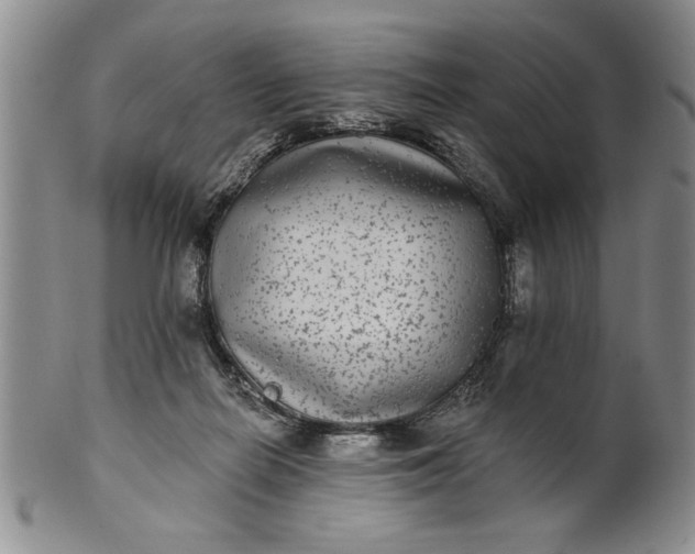 X0000100970266200807081226