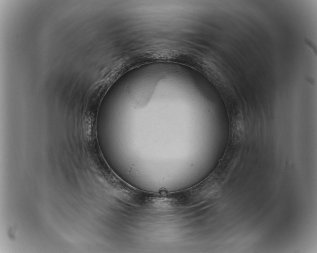 X0000100970268200807081226