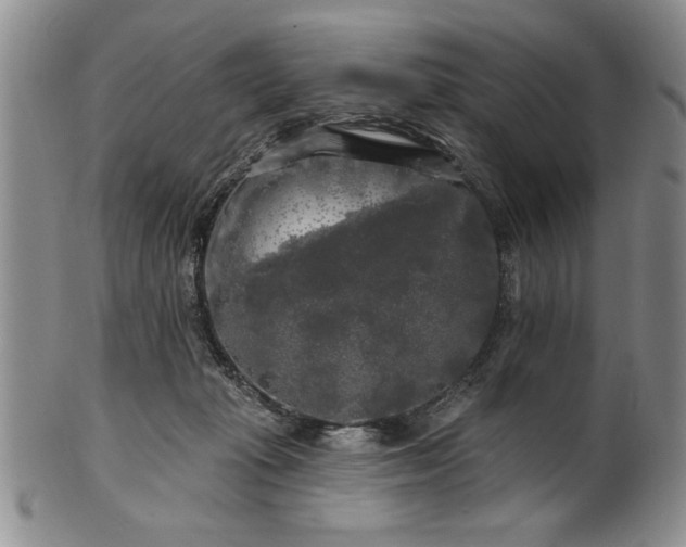 X0000100970269200807081226