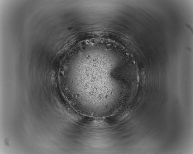 X0000100970270200807081226
