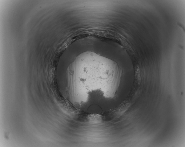 X0000100970271200807081226