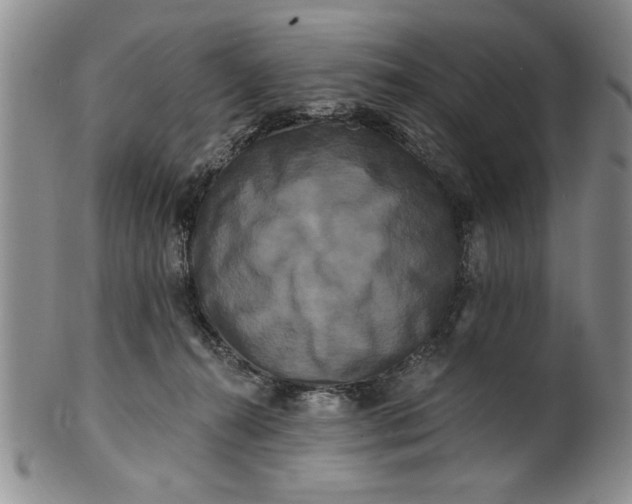 X0000100970272200807081227