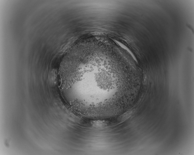 X0000100970273200807081227