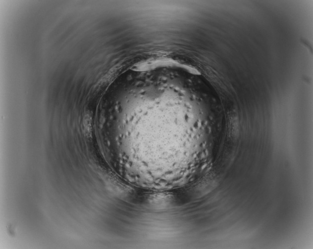 X0000100970274200807081227