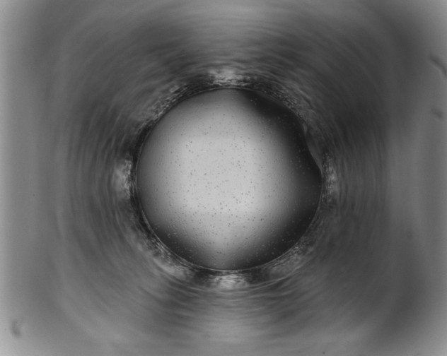 X0000100970275200807081227