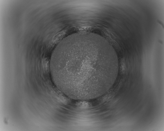 X0000100970276200807081227