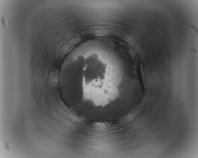 X0000100970277200807081227
