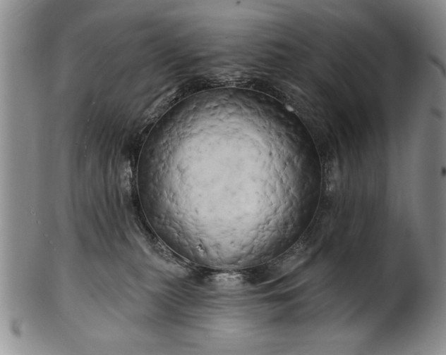 X0000100970279200807081227