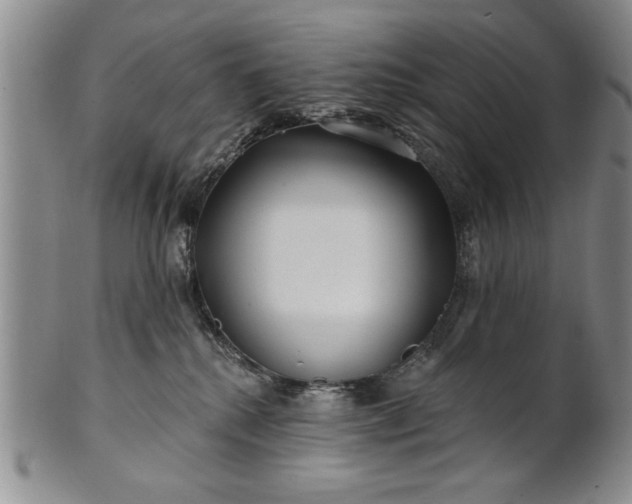 X0000100970280200807081227