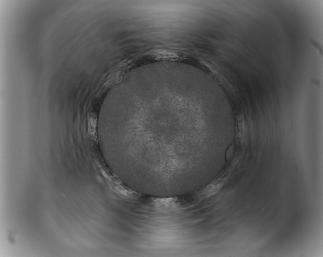 X0000100970281200807081227