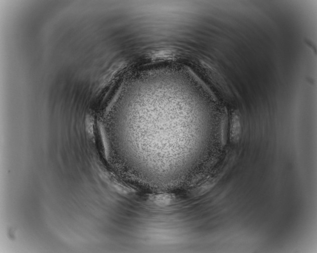 X0000100970282200807081227