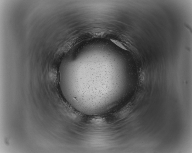 X0000100970283200807081227
