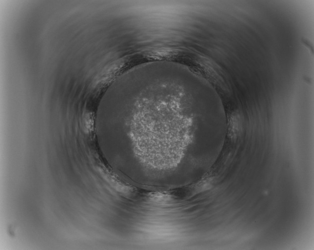 X0000100970284200807081227