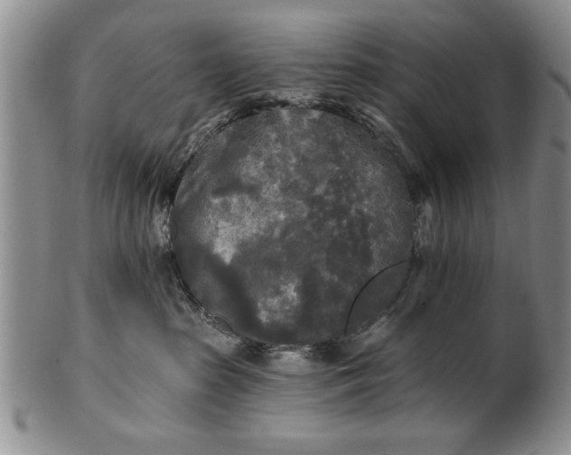 X0000100970285200807081227