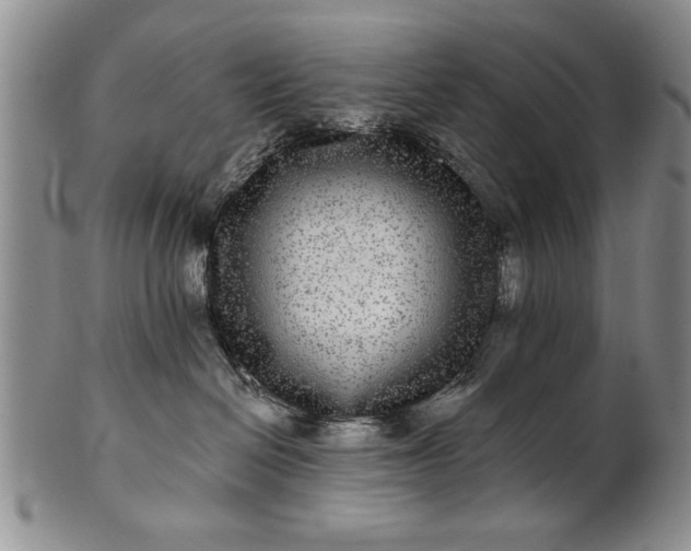 X0000100970286200807081227