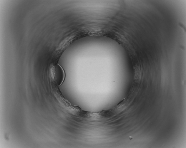 X0000100970287200807081227