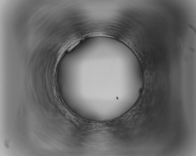 X0000100970289200807081226