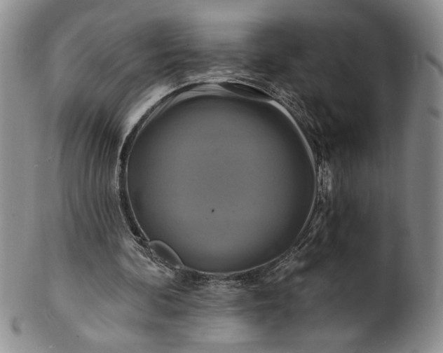 X0000100970292200807081226