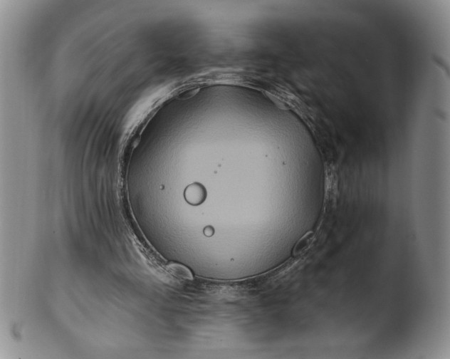 X0000100970293200807081226