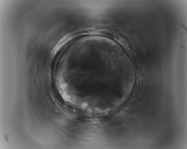 X0000100970295200807081226