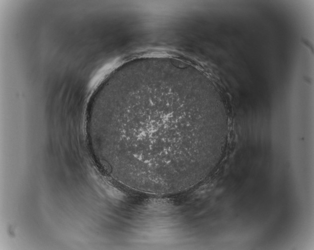 X0000100970296200807081226