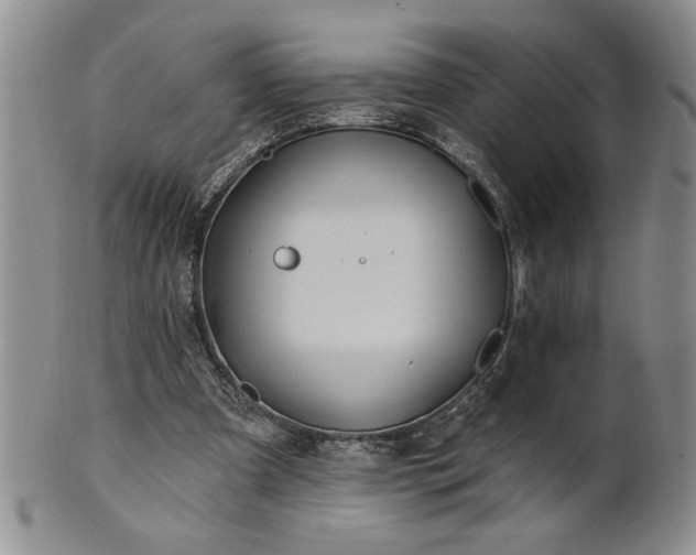 X0000100970297200807081226