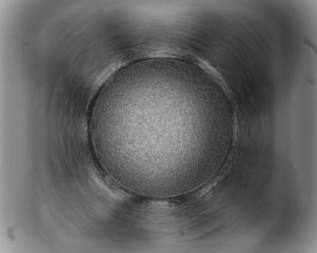 X0000100970298200807081226