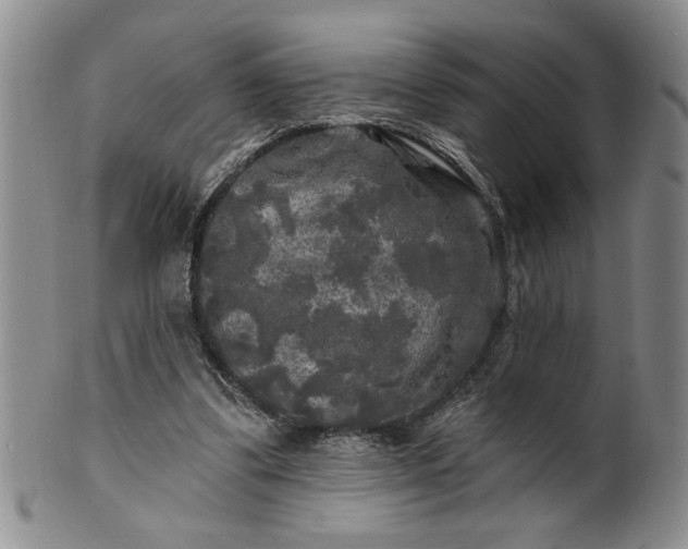 X0000100970299200807081226