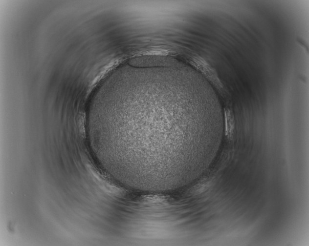 X0000100970300200807081226