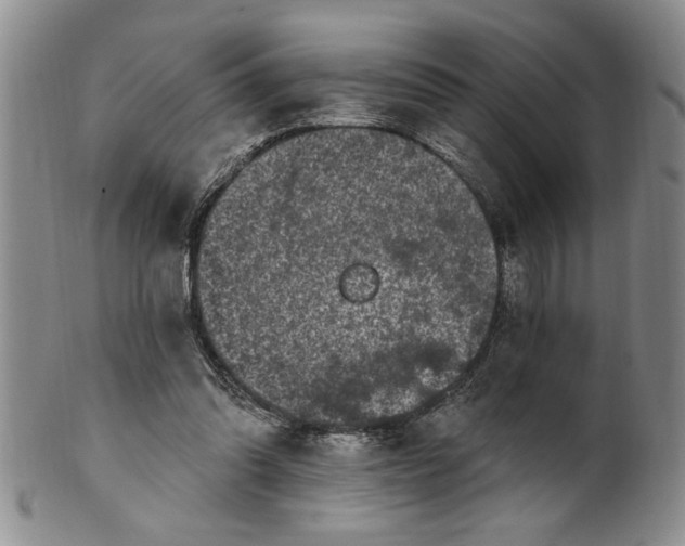 X0000100970302200807081226