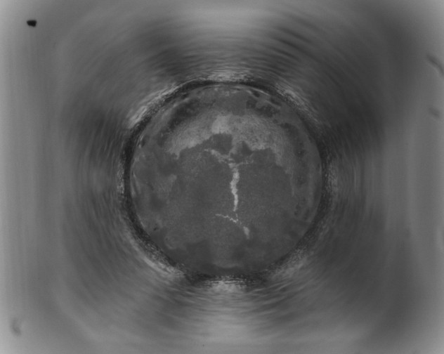 X0000100970303200807081226