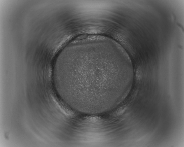 X0000100970304200807081226