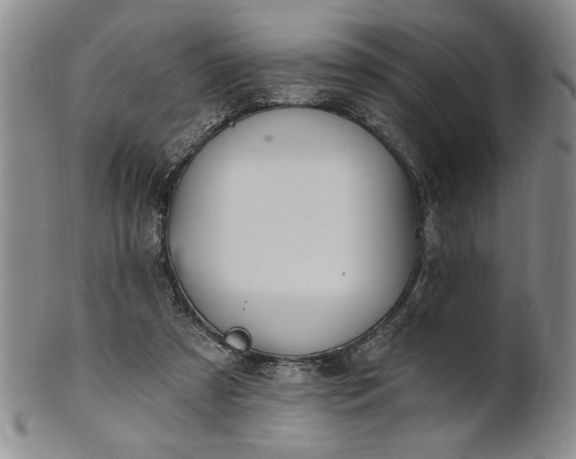 X0000100970305200807081226