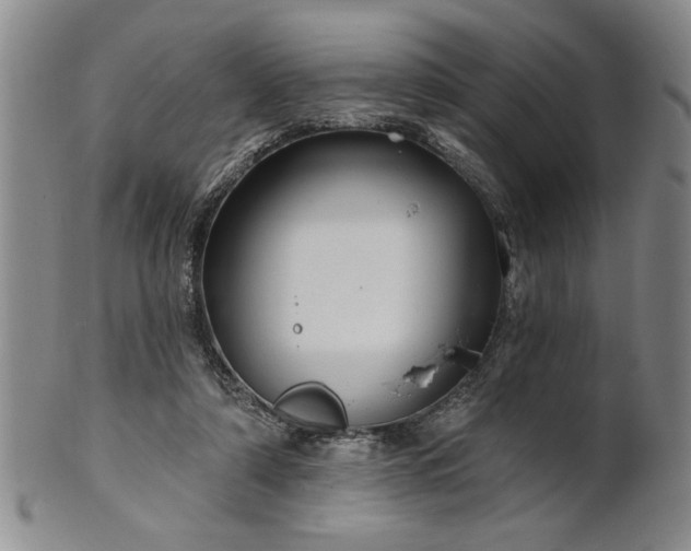 X0000100970306200807081226