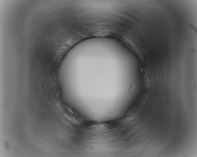 X0000100970307200807081226