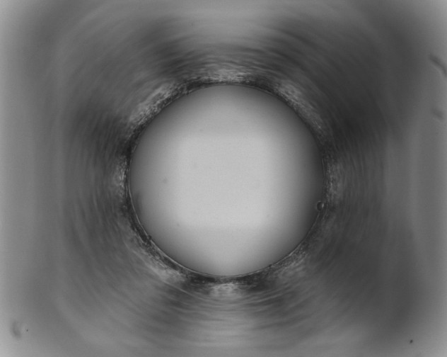 X0000100970309200807081226