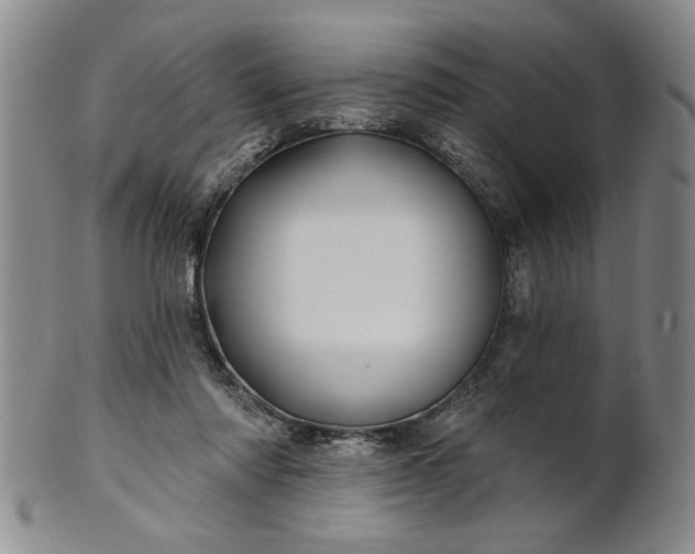 X0000100970310200807081226