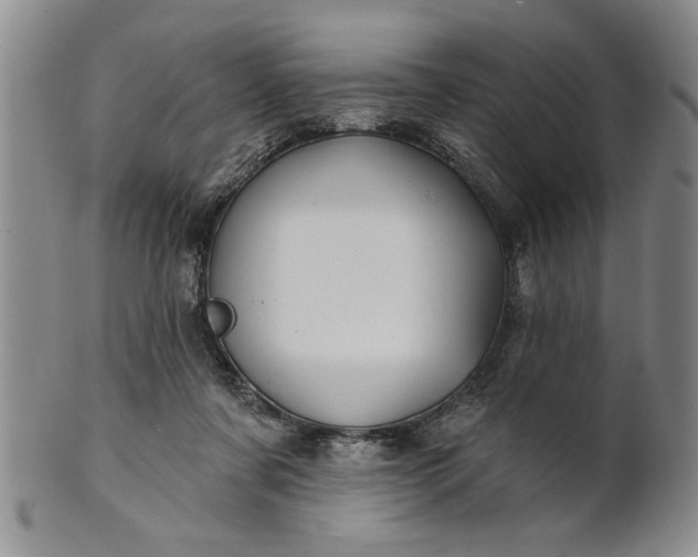 X0000100970311200807081226