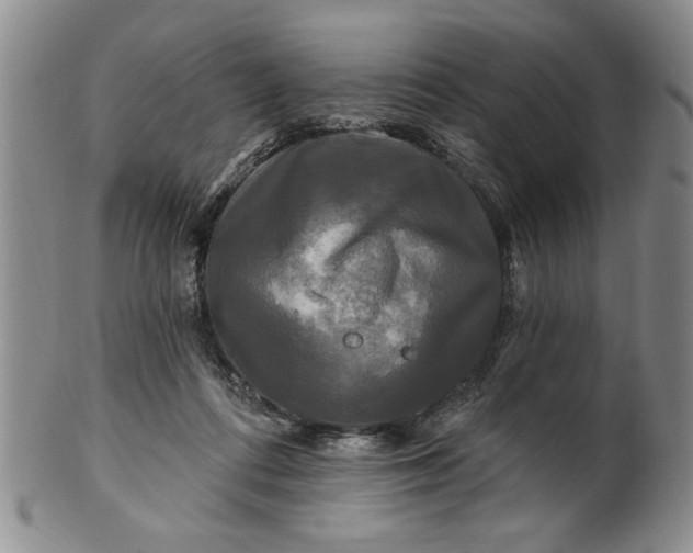 X0000100970312200807081226