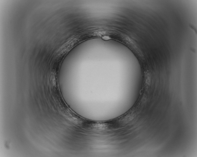 X0000100970313200807081226