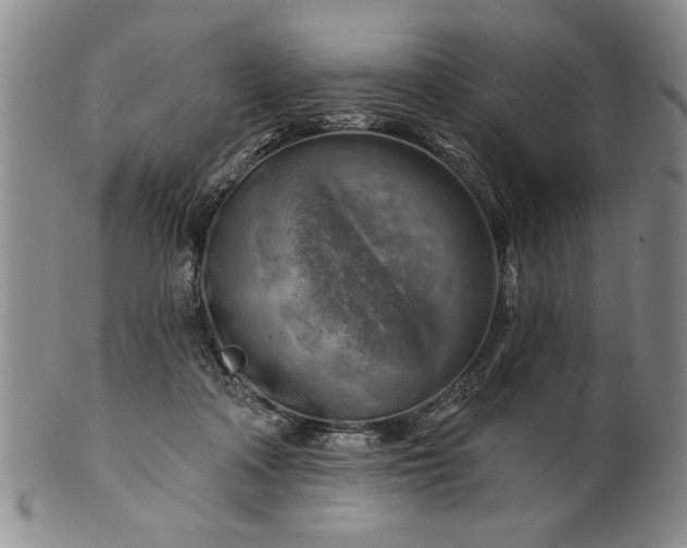 X0000100970314200807081226